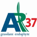 AR37 Endophyte